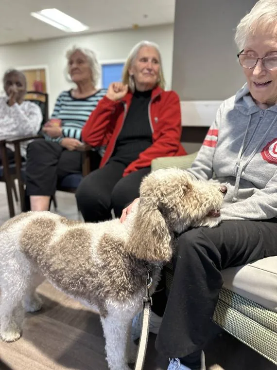 Dreidel the therapy dog visiting residents at a senior living community.
