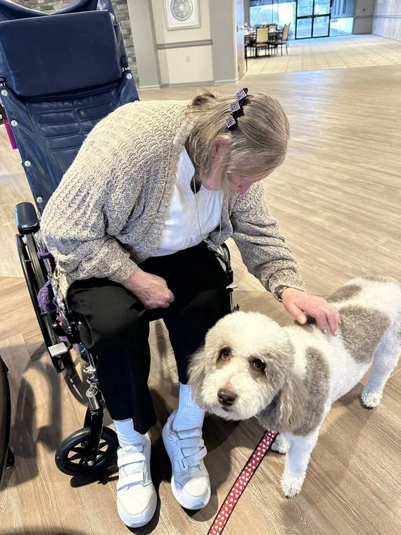 An older adult gently petting Dreidel, a certified therapy dog, during a community visit.
